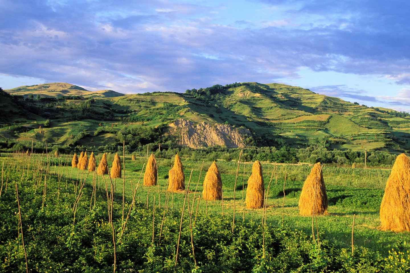 Desde Sighetu Marmatiei: Tour por Maramures y el Monasterio de Barsana
