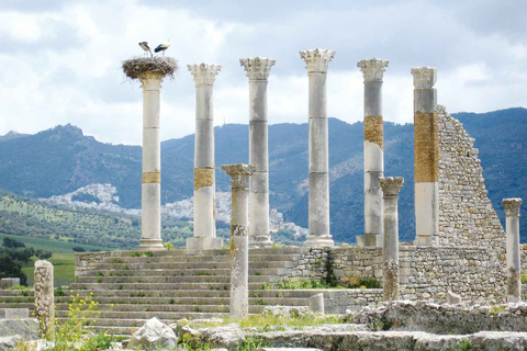 From Tangier: Transfer to Fez via Chefchaouen and Volubilis