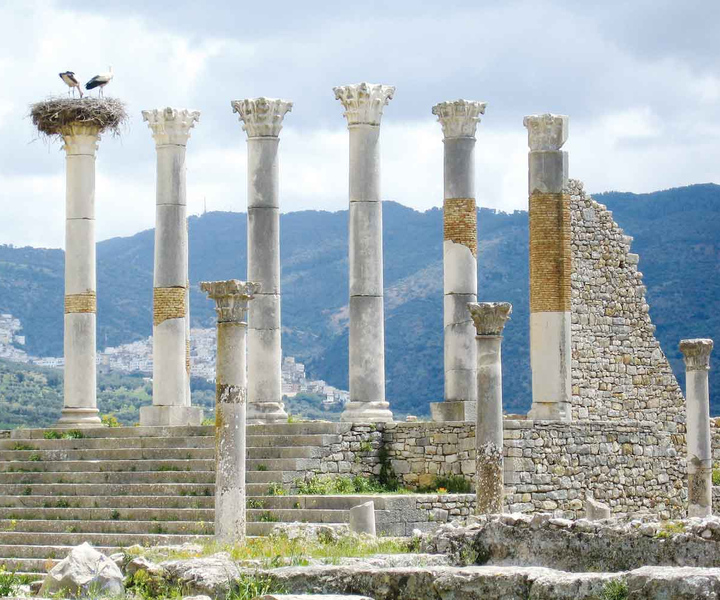 From Tangier: Transfer to Fez via Chefchaouen and Volubilis