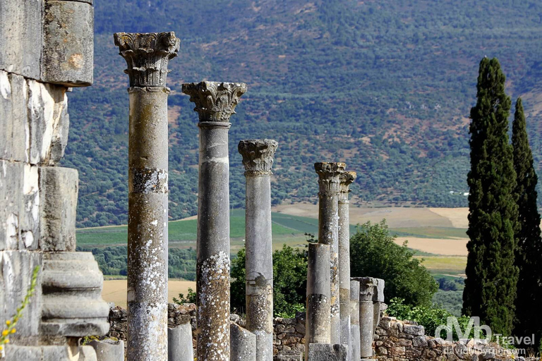 From Tangier: Transfer to Fez via Chefchaouen and Volubilis