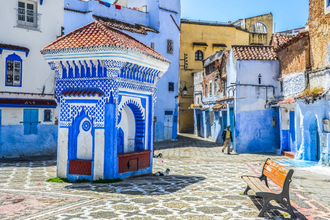 From Tangier: Transfer to Fez via Chefchaouen and Volubilis