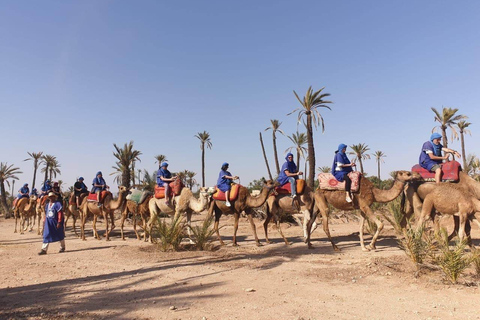 Marrakech Palmeraie: przejażdżka na wielbłądach o zachodzie słońca