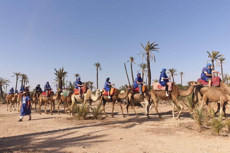 Marrakech Palmeraie: przejażdżka na wielbłądach o zachodzie słońca