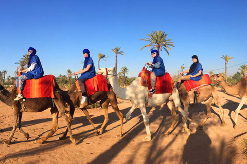 Marrakech Palmeraie: przejażdżka na wielbłądach o zachodzie słońca