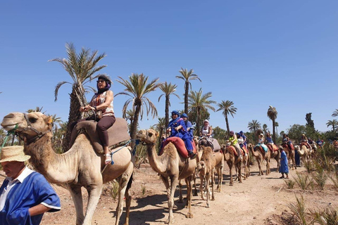 Marrakech Palmeraie: przejażdżka na wielbłądach o zachodzie słońca