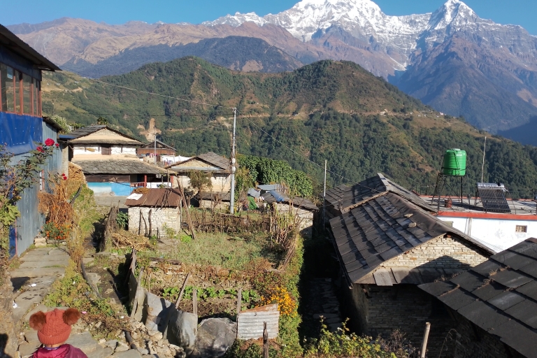 4 nuits 5 jours Trek du camp de base de l'Annapurna à partir de Pokhara