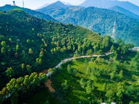 De Jakarta, Safari Park, plantation de thé et chute d'eau de Jaksa - Hizvo