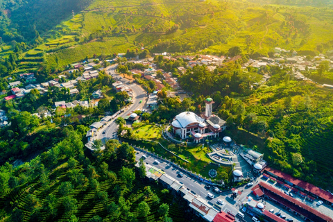 Da Giakarta: Safari Park, piantagione di tè e cascata Jaksa