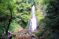 De Jakarta, Safari Park, plantation de thé et chute d'eau de Jaksa - Hizvo