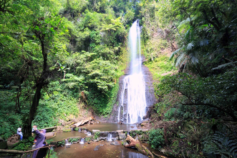 From Jakarta: Safari Park, Tea Plantation &amp; Jaksa Waterfall