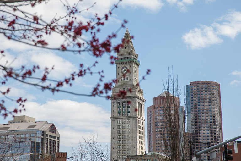 Boston History and Freedom Trail Private Walking Tour Boston City Walking Tour