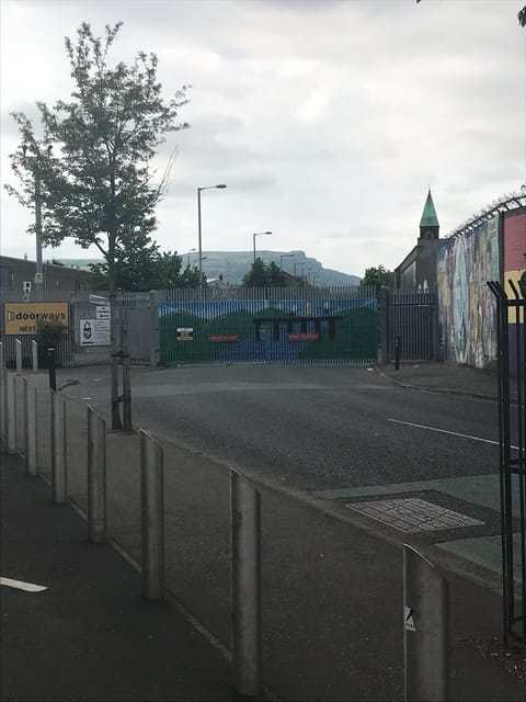 Belfast Peacewall And Political History Black Taxi Cab Tour Getyourguide