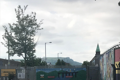 Visite en taxi de Belfast (politique et mur de la paix)Visite de Belfast : politique et mur de la paix