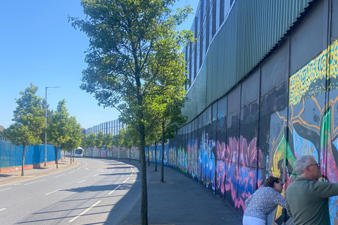 Belfast Politieke en Peacewall-taxitourPolitieke & Peacewall-tour door Belfast