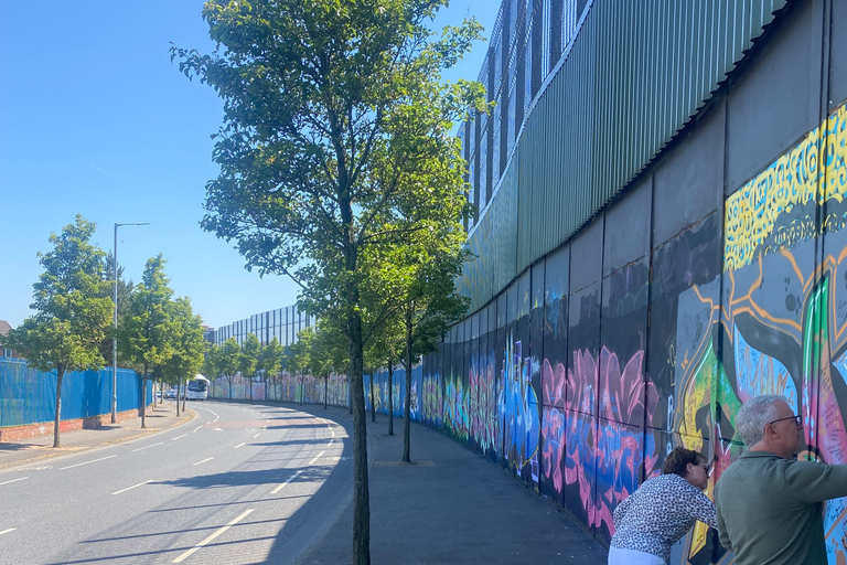 Belfast: Tour in taxi nero del Peacewall e della storia politica