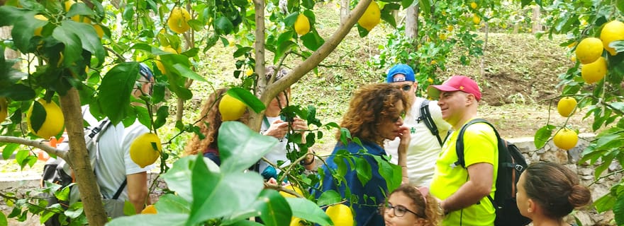 Trek Tour des citrons