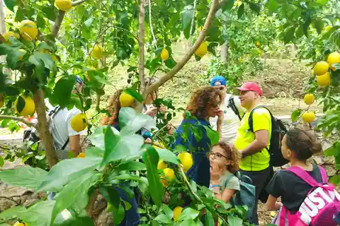 Trekking Lemon Tour