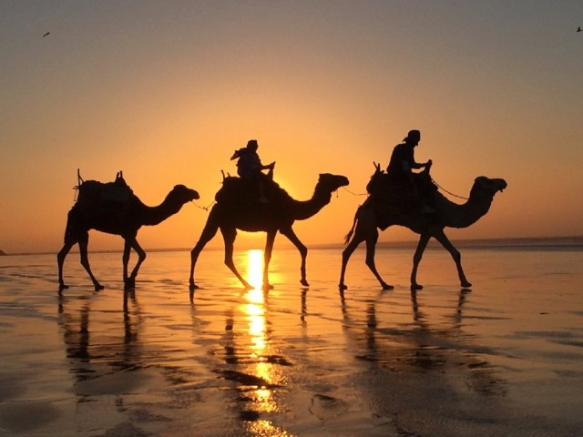 Visit From Agadir Sunset Camel Ride with BBQ Dinner and Transfer in Agadir