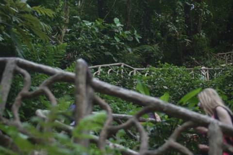 From Guanacaste: Rio Celeste, Sloth Sanctuary & Waterfall