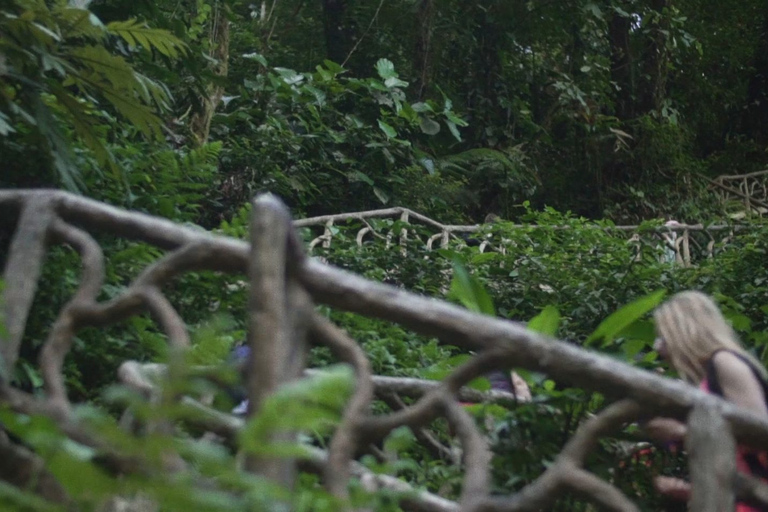 From Guanacaste: Rio Celeste, Sloth Sanctuary & Waterfall