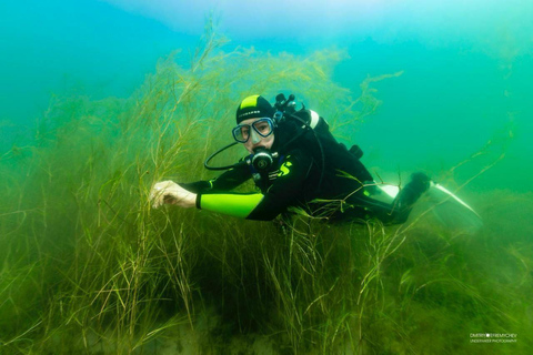 From Yerevan: Lake Sevan Beginner Scuba Diving Trip