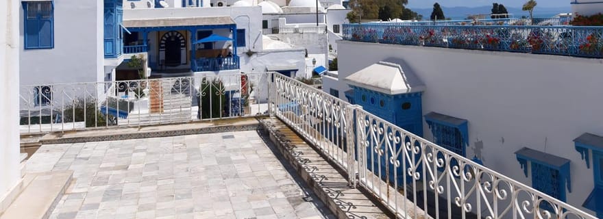 Tunis- Carthage-Sidi Bou-Said