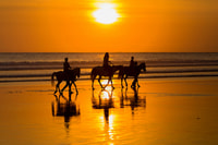 Spiaggia Horseback Ride, 90 minuti di Sunset Delight - Hizvo