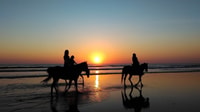 Spiaggia Horseback Ride, 90 minuti di Sunset Delight - Hizvo