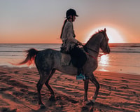 Spiaggia Horseback Ride, 90 minuti di Sunset Delight - Hizvo