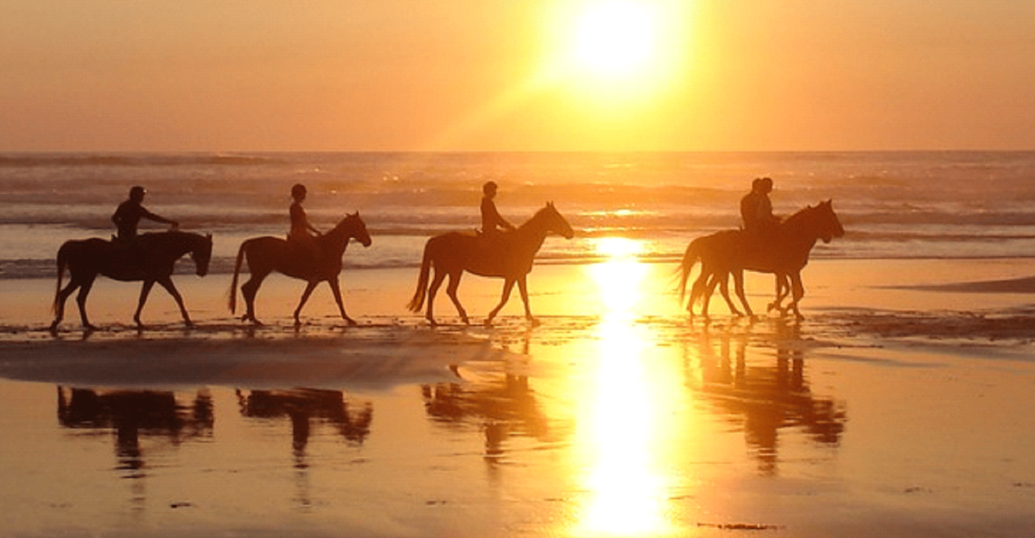 海滩上骑骑骑马 日落90分钟 - Hizvo