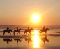 Spiaggia Horseback Ride, 90 minuti di Sunset Delight - Hizvo