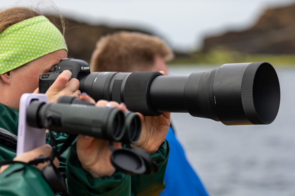 Expedición De Observación De Aves Marinas En Las Azores | GetYourGuide