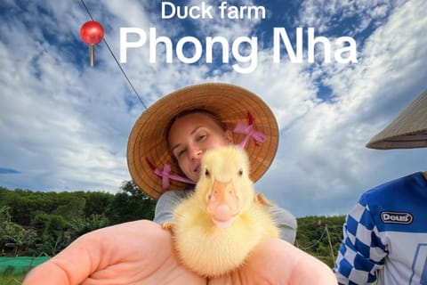 Phong Nha: Visit The Duck Stop & Become a Duck Leader - Image 2