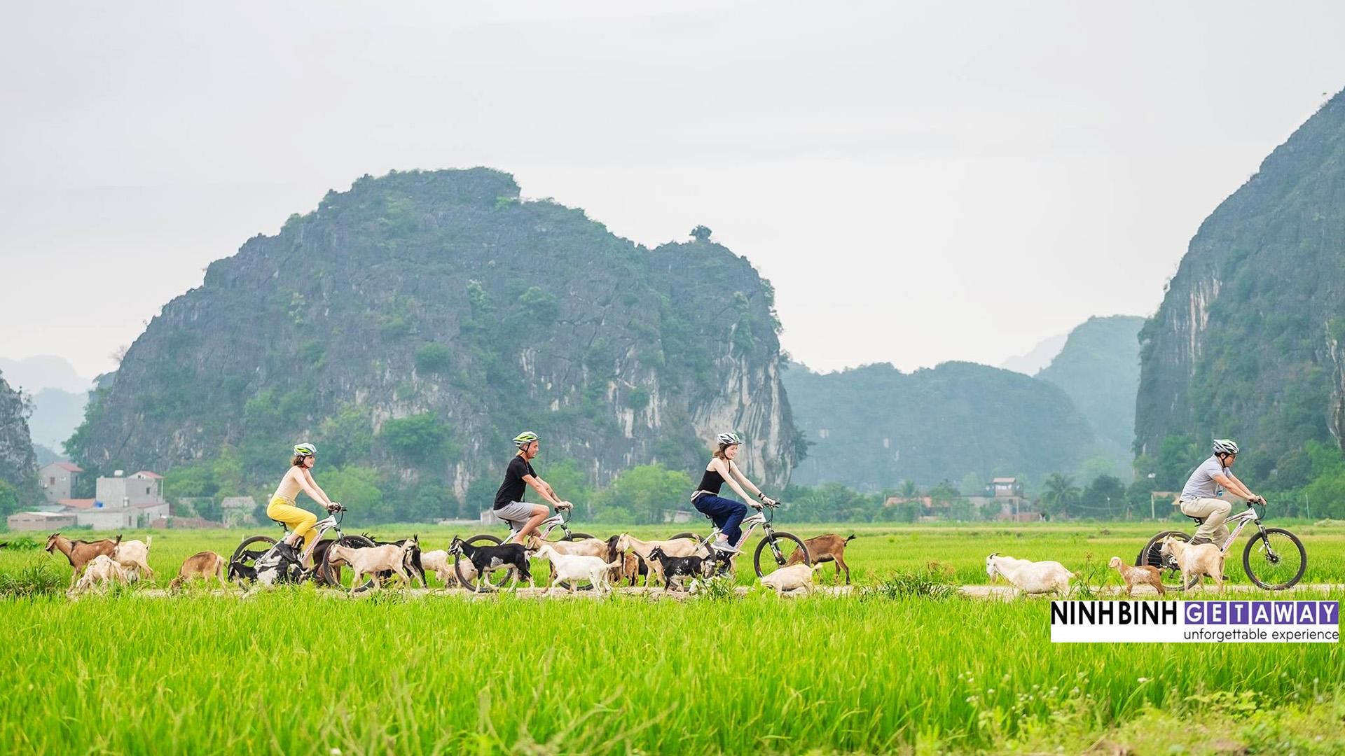Tägliche Ninh-Binh-Tagestour in Kleingruppe ab Hanoi