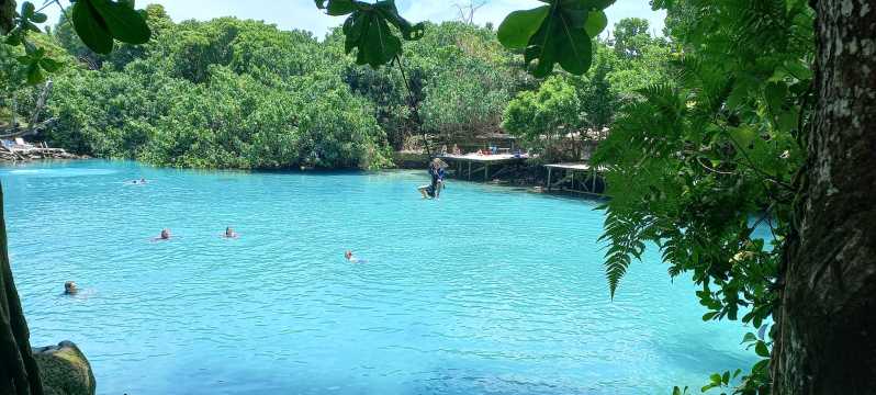 Port Vila: Blue Lagoon & Baby Turtles Tour with BBQ Lunch