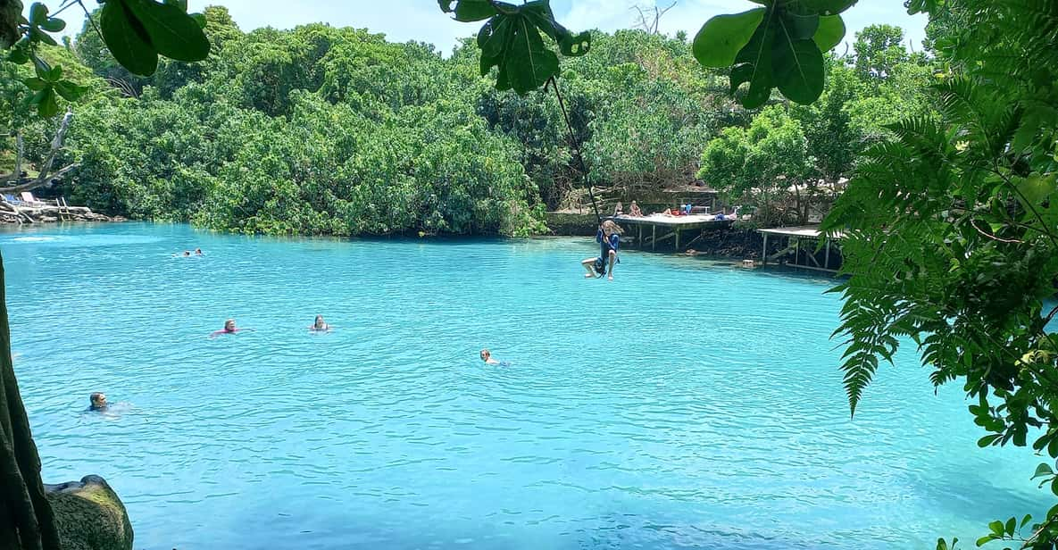 Port Vila: Blue Lagoon & Baby Turtles Tour with BBQ Lunch | GetYourGuide