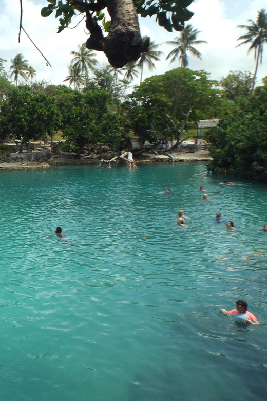 Port Vila: Blue Lagoon & Baby Turtles Tour with BBQ Lunch | GetYourGuide