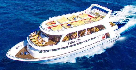 Marsa Alam: Elite vip Turtle bay snorkeling with BBQ Lunch