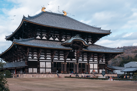 Von Osaka: 10-stündige private Tour nach NaraAb Osaka: 10-stündige Customize Tour nur mit Fahrer