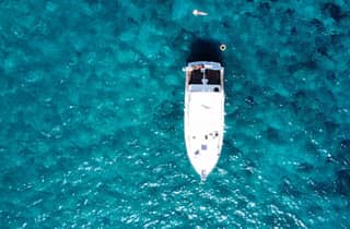 Las Galletas: Wal- und Delfintour mit einem einheimischen Skipper