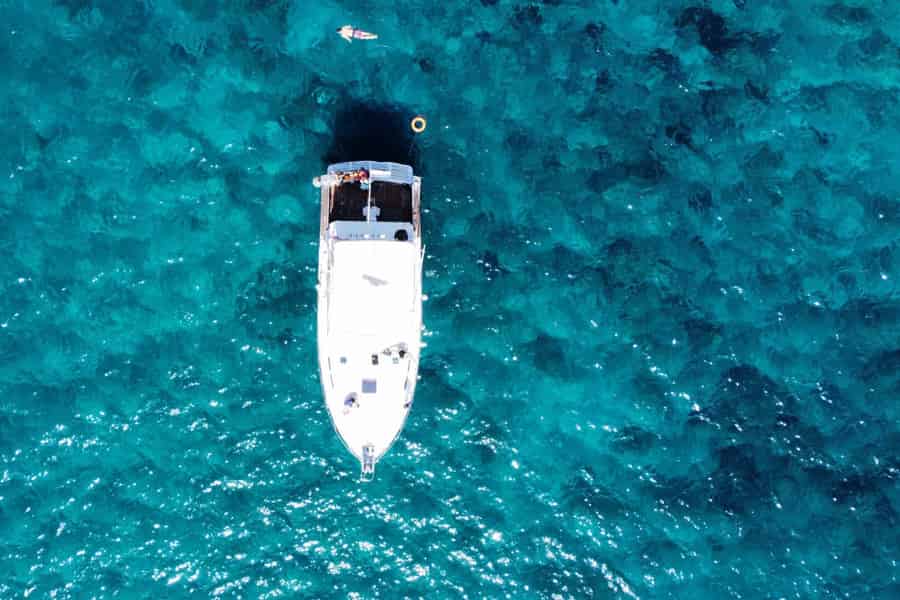 Las Galletas: Wal- und Delfintour mit einem einheimischen Skipper. Foto: GetYourGuide Las Galletas: Wal- und Delfintour mit einem einheimischen Skipper. Foto: GetYourGuide