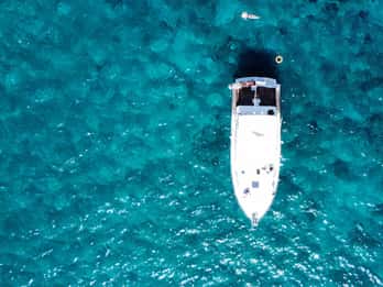 Las Galletas: Tour delle balene e dei delfini con skipper locale