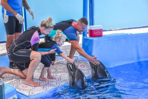 Hurghada: Nuoto in famiglia al Dolphin World con prelievo