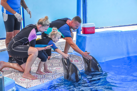 Hurghada: Nadar en familia con delfines