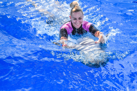 Hurghada: Familienschwimmen mit Delfin