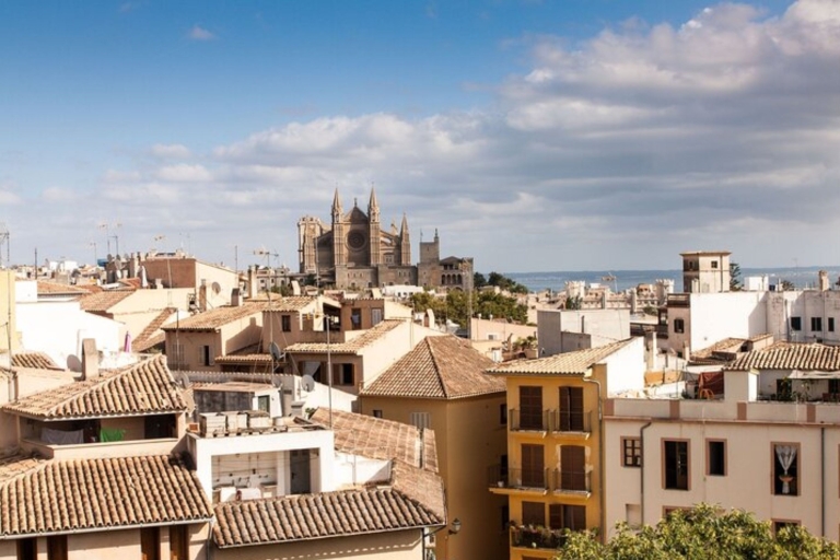 Palma de Majorque : Visite privée personnalisée avec un guide localVisite à pied de 3 heures