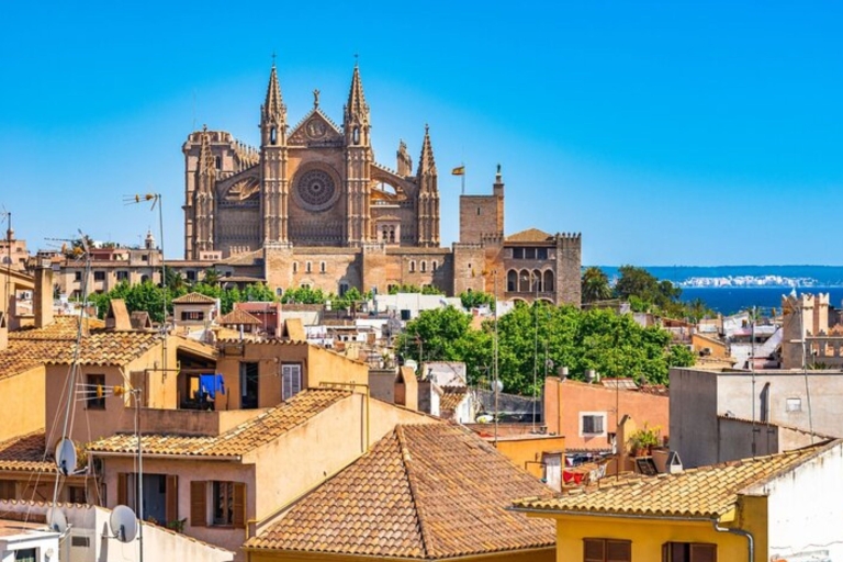 Palma de Mallorca: Excursión privada a medida con guía localRecorrido a pie de 3 horas