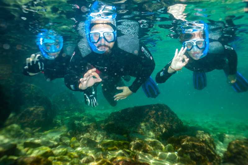 Tarifa: tour guidato di snorkeling nel Parco Naturale dello Stretto