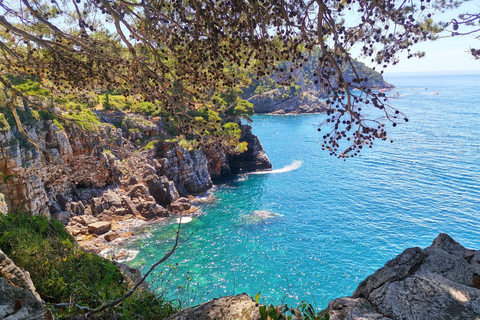 From Dubrovnik: Hiking & Swimming on Koločep Island Day Trip