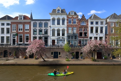 Utrecht: Heart of Holland Sidecar Tour. Miasto lub wieś.